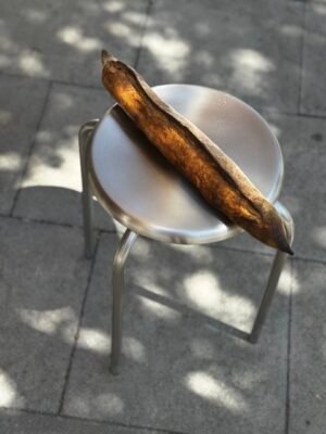 Baguette de Masa Madre
